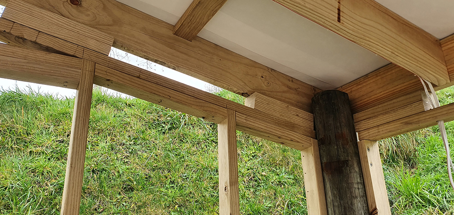 Raising The Roof (2)